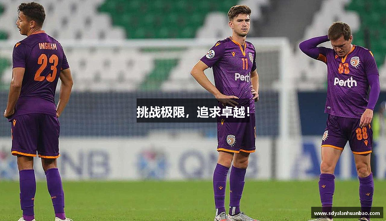 挑战极限，追求卓越！